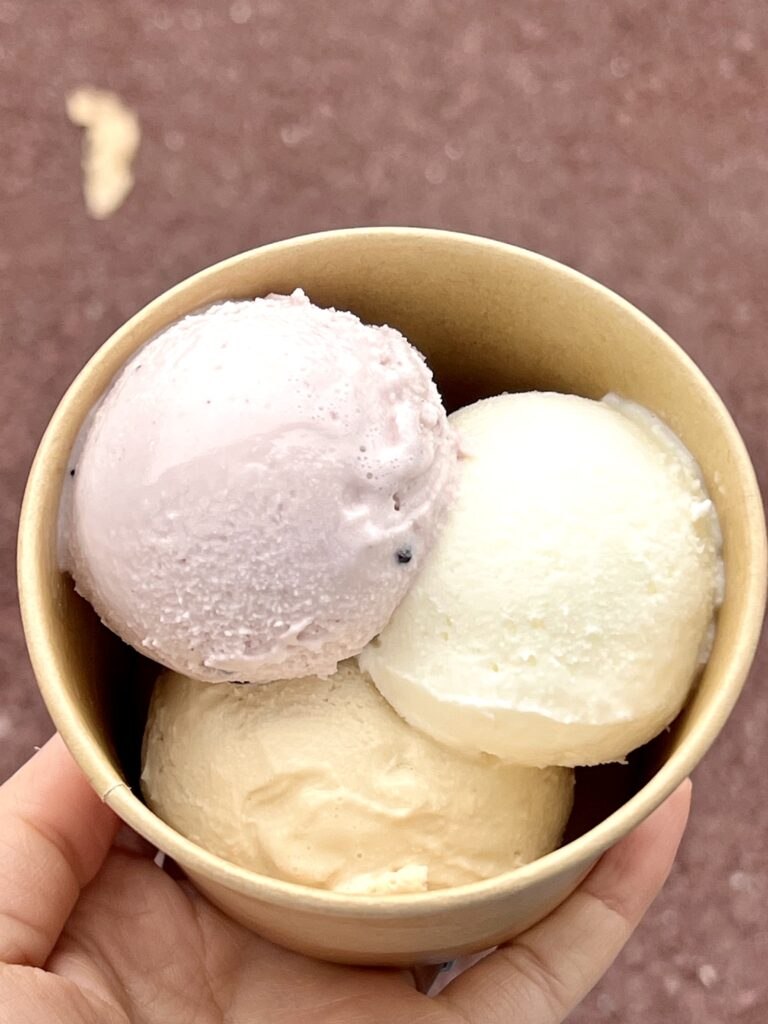 安芸高田 縄文あいす ひとは館のアイス3種盛り(縄文・くじらのおいしお・えびす茶)